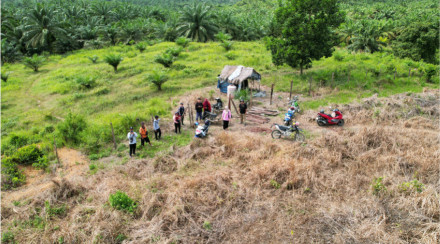 MONITORING KEBUN DESA